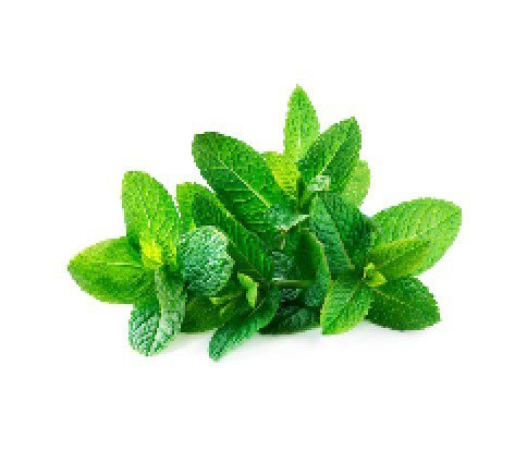 Spearmint Herbal