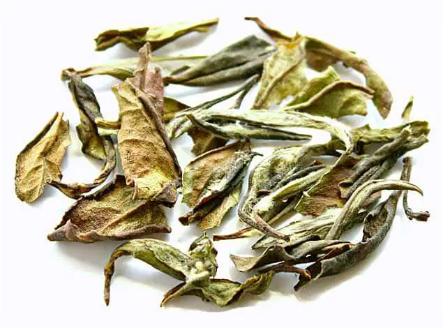 Peach Apricot White Tea